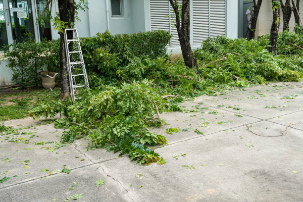 Best Artificial Turf Installation  in King City, CA